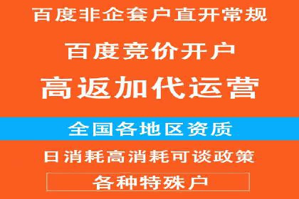 竞价账户优化与维护，代运营公司的专业能力展示